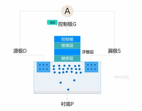 固態(tài)硬盤為何如此神速？深入解析數(shù)據(jù)處理與存儲(chǔ)的秘密
